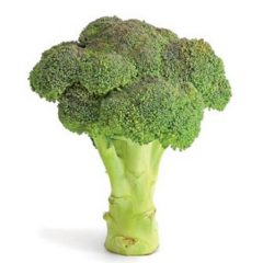 Nutrition for Job Performance